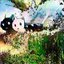m yｄｅａｄｋｕｒｏｎｅｋｏ私৾ୢୢୢୢୢୢୢୢ๋๋の亡۠۠৾ୢୢ๋๋৲්き৾ୢୢୢୢ黒৾ୢୢୢୢ猫්৾৾ૹʷᵃᵗਁᵃˢʰ៝៝៝ⁱা៓ⁿං๋ྛ៓្ༀஂⁿᵃ৾ᵏⁱ ୲ᵏ๊ᵘʳ๊๋៓៓៓៓๏๋๋๋๋ⁿᵉᵏ៓៓៓៓៓ៗ᤻᧬