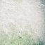 Ground . The Gentle