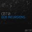 Dub incursions