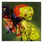 The Anatomy of an Atomic Heart