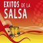 Hits & Éxitos de la Salsa