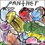 Panther - The Birds 12" [avm 028]