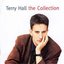 Terry Hall: The Collection