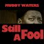 Still A Fool