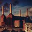 Animals [2011 - Remaster] (2011 - Remaster)