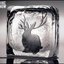 Miike Snow WEB