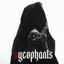 Sycophants