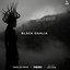 Black Dahlia