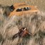 The Plow That Broke the Plains [Explicit]