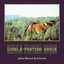 Single-Footing Horse
