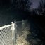 jumped off a bridge for nothing/i saw a dog die - Single