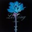 Longing-Setsubou no Yoru