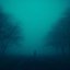 foggy skies