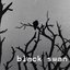 Black Swan