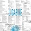 Ligabue