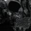 Purged (Demo)