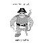 Bot Pirate 12"