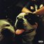TEST ME (feat. JID)