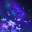 Starflower Garden