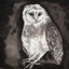 Owl Song - Single