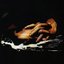 The Hands Of Caravaggio