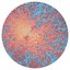 Pattern Index