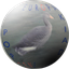 Avatar for tomvecc