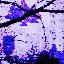 deadpetals