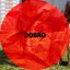 Dobro