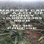 1292Forex - Single