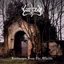 Landscapes From The Afterlife