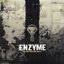Enzyme Injection part 4