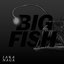 Big Fish - Single