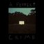 A Perfect Crime