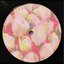 Tulip (Pacific Coliseum Remix)