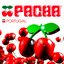 Pacha Portugal