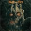 The Black Plot - Single