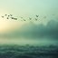 Flying South (Nature)
