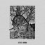 Bomba - Single
