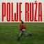 Polje ruža