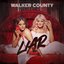 Liar - Single