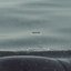 Whale EP