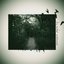 Darkgreen suite