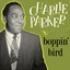 Boppin' Bird