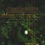 Dormant Strains