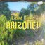 ARIZONE!