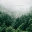 Fauna