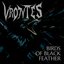 Birds of Black Feather