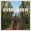 Evergreen