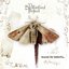 Beyond The Butterfly